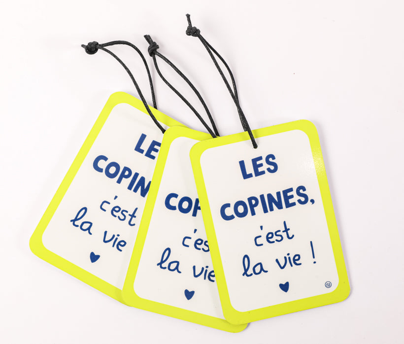 Mini decorative plaque friends it's life