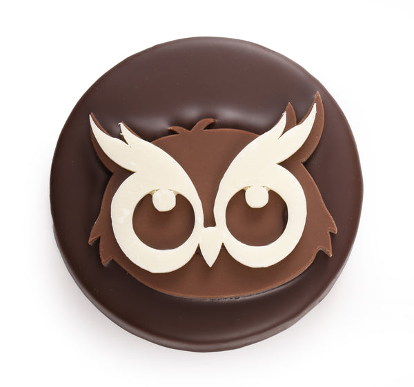 Gufo di Praline al Cocco con Cioccolato Fondente di Natale
