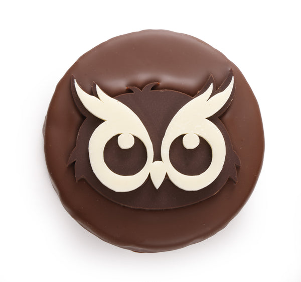 Gufo di Natale con Praline al Cioccolato al Latte