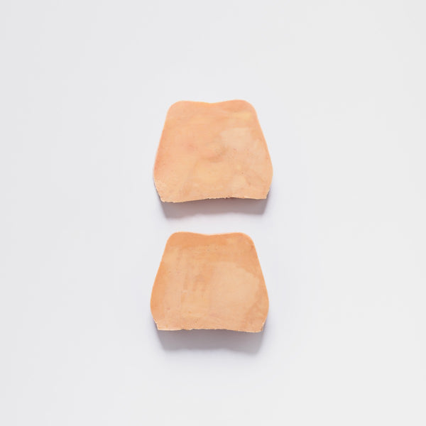 Foie gras de canard Tradition 2 tranches - 120g