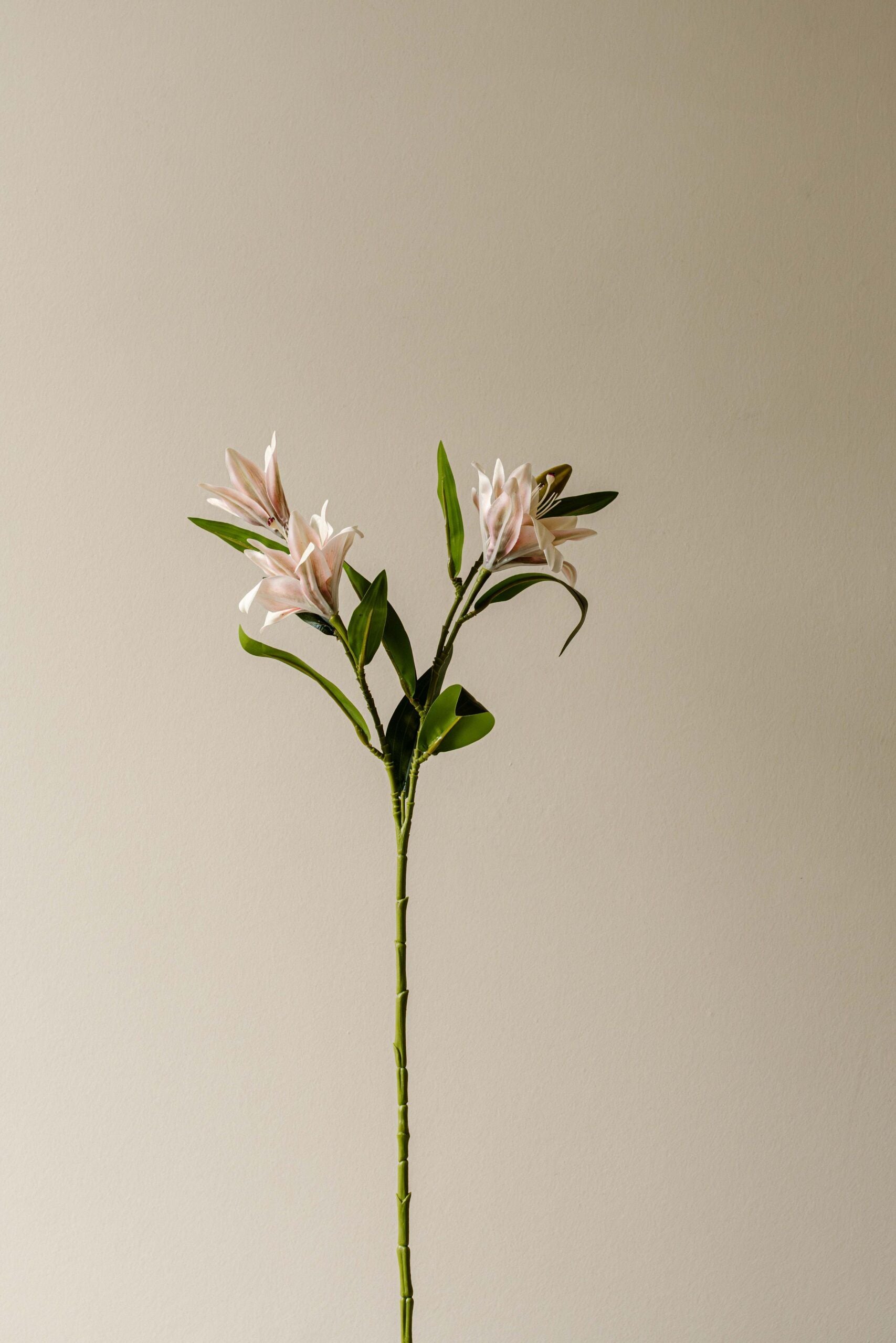 Indore Silva - Lely - Pink White - artificial branch - silk