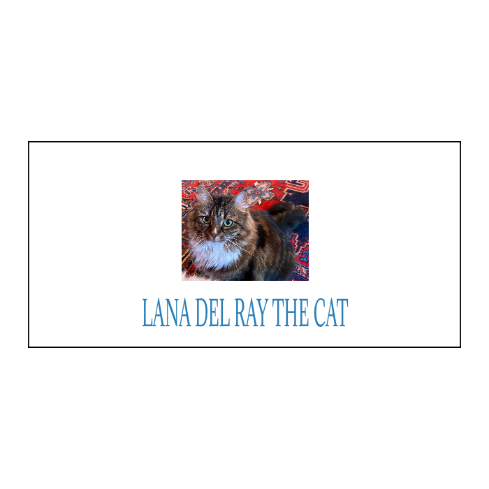 Personalizirani Coolenator