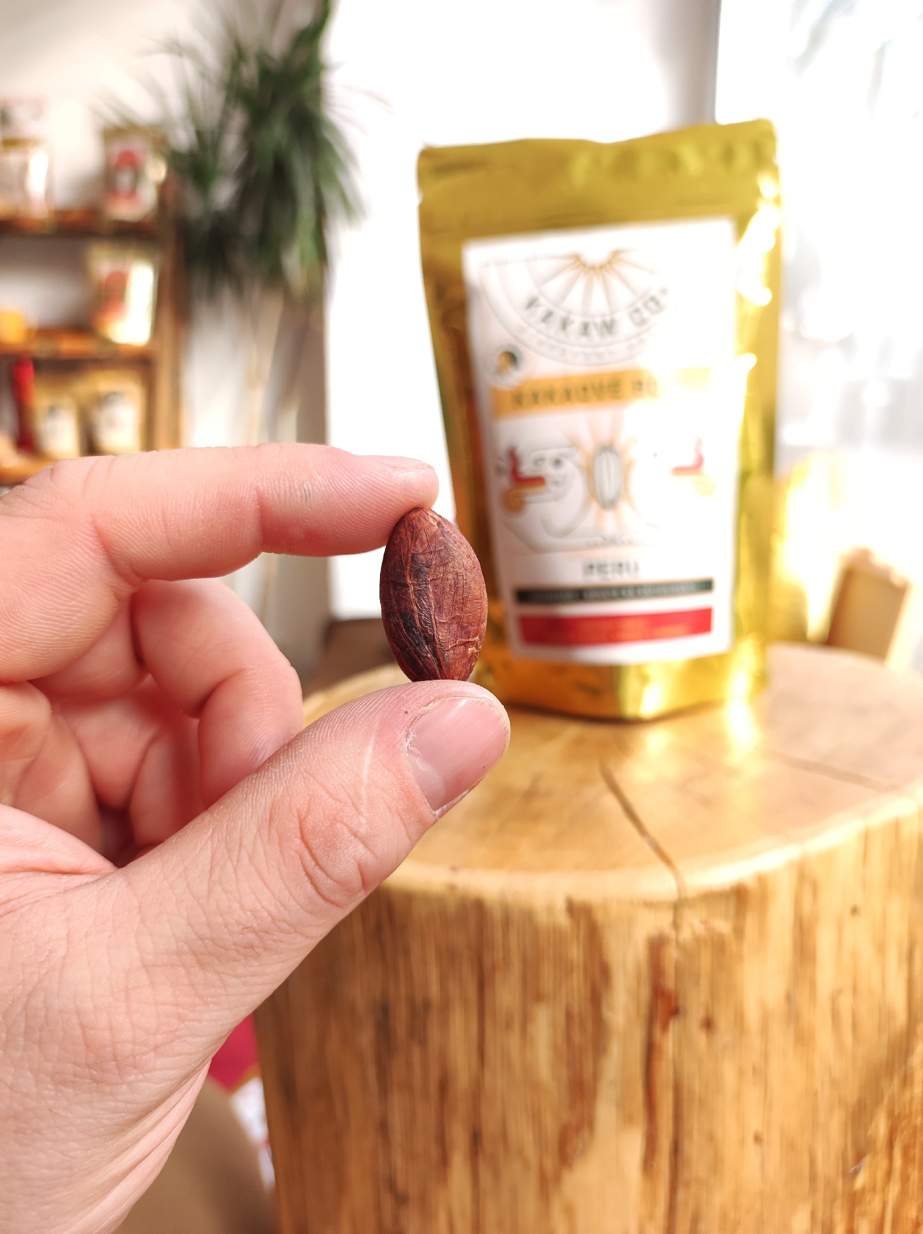 Kakaové boby - Peru Amazonas Hmotnost: 750g