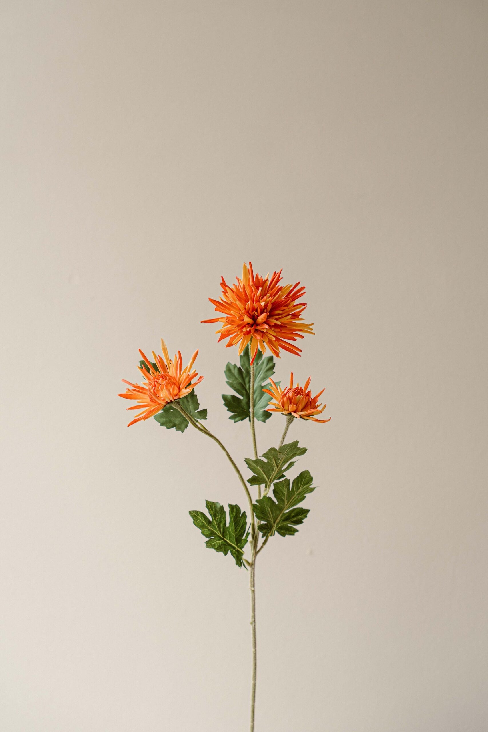 Indore Silva - Chrysanthemum - Orange - artificial branch - silk