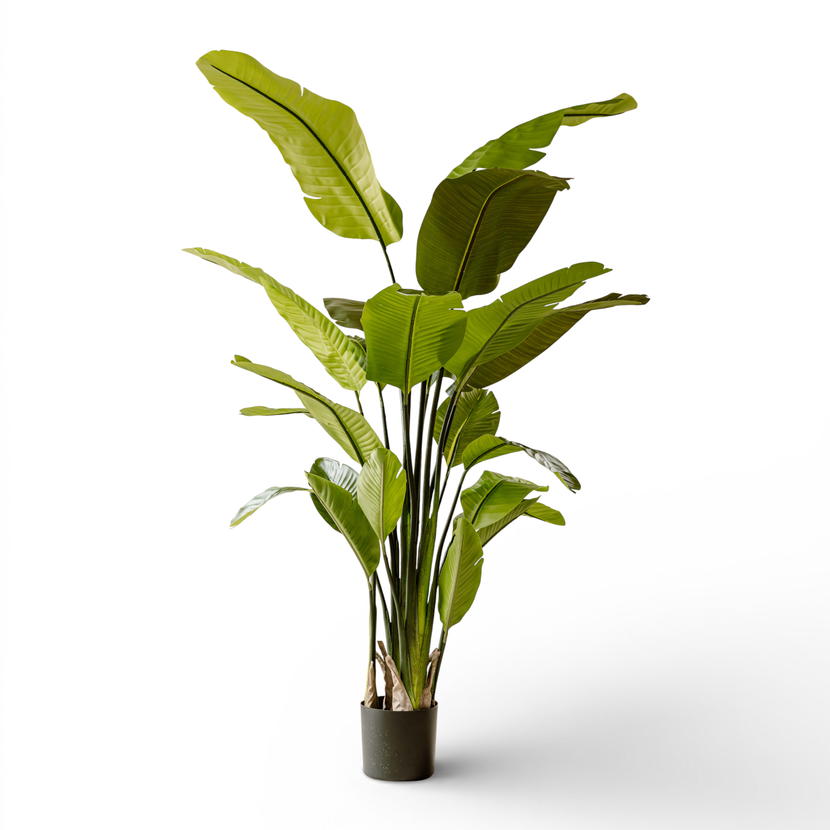 Artificial Plant Strelitzia 220 cm - Large Tropical Statement Indoor Plant - Indore Home