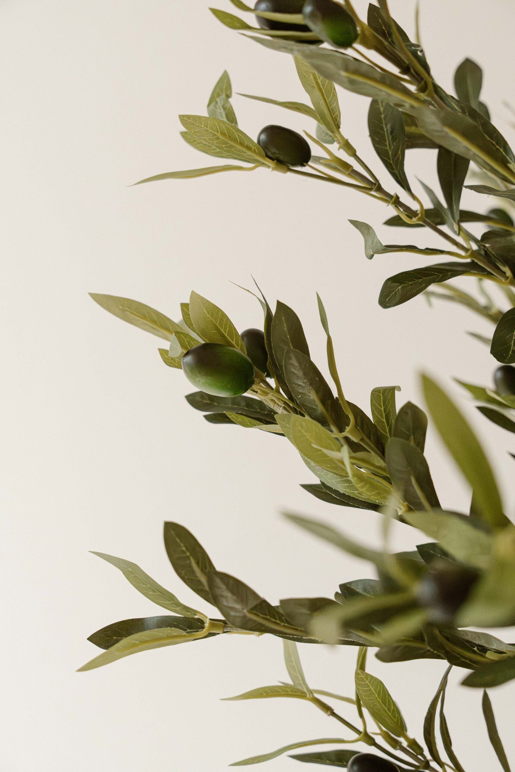 Kunst Olijfboom 190 cm – Mediterrane Olijfboom Kunstplant – Grote Kamerplant – Indore Home
