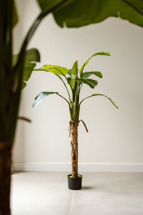 Indore Silva - Artificial Banana Plant - 170cm - Delivery time 1-2 weeks