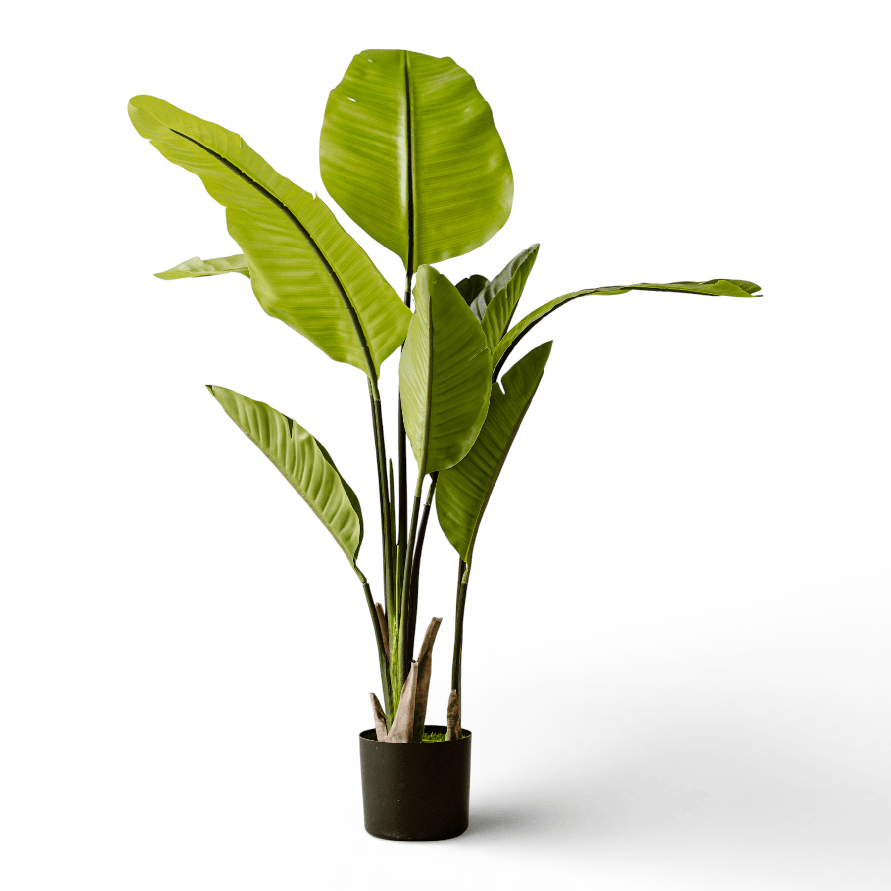 Artificial Plant Strelitzia 120 cm - Stylish Tropical Houseplant - Indore Home