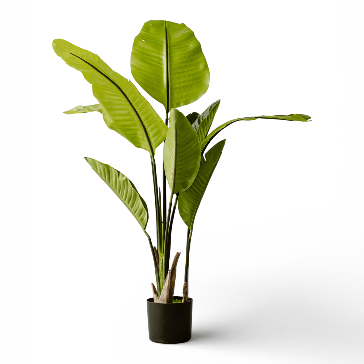 Artificial Plant Strelitzia 120 cm - Stylish Tropical Houseplant - Indore Home