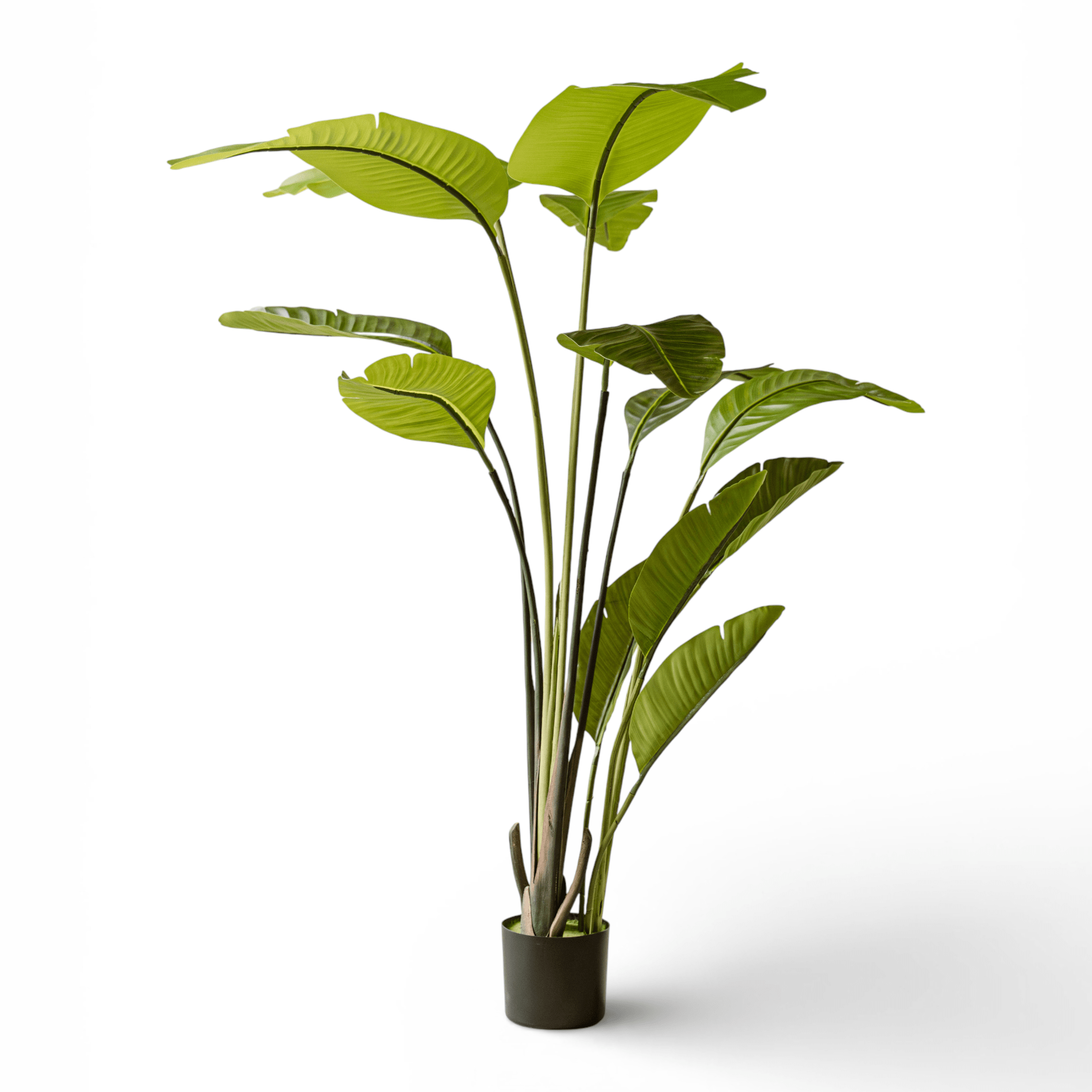 Indore Silva - Artificial Plant Strelitzia - 150cm