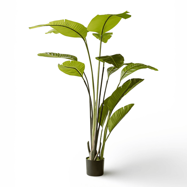 Indore Silva - Artificial Plant Strelitzia - 150cm