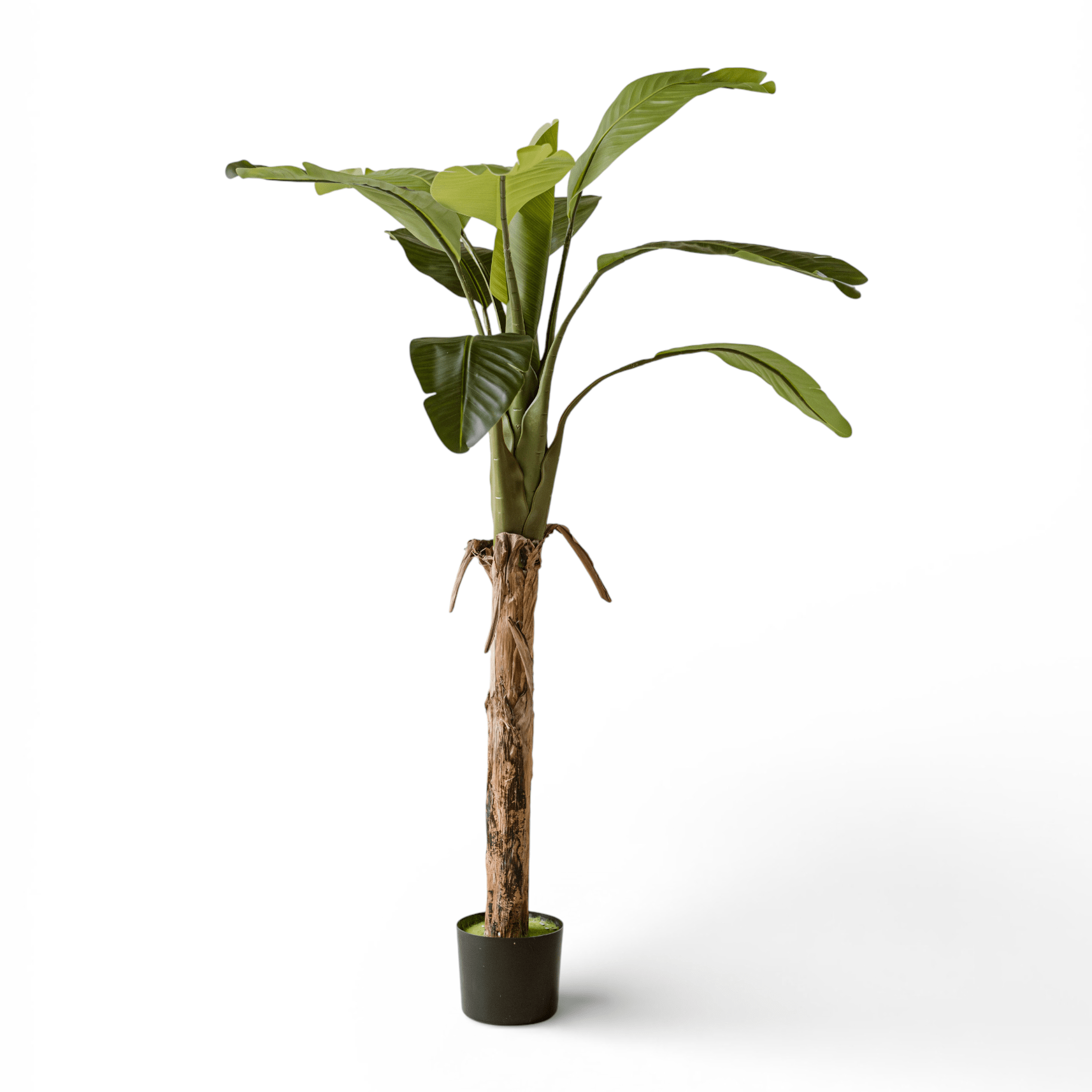Indore Silva - Artificial Banana Plant - 120cm