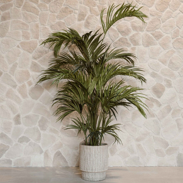 Artificial Kentia Palm 280 cm – Extra Large Tropical Indoor Plant – Elegant Palm for High Ceilings – Indore Silva