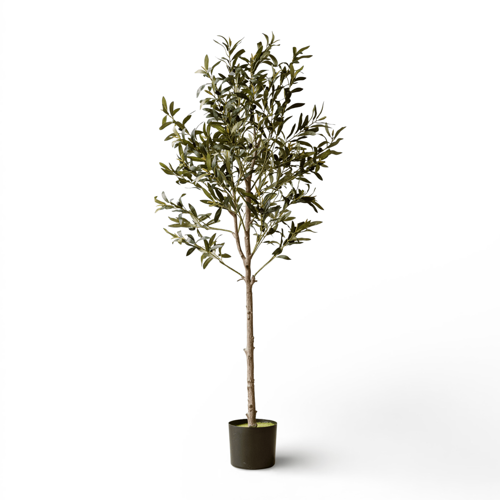 Indore Silva - Kunstmatige Olijfboom - 155cm