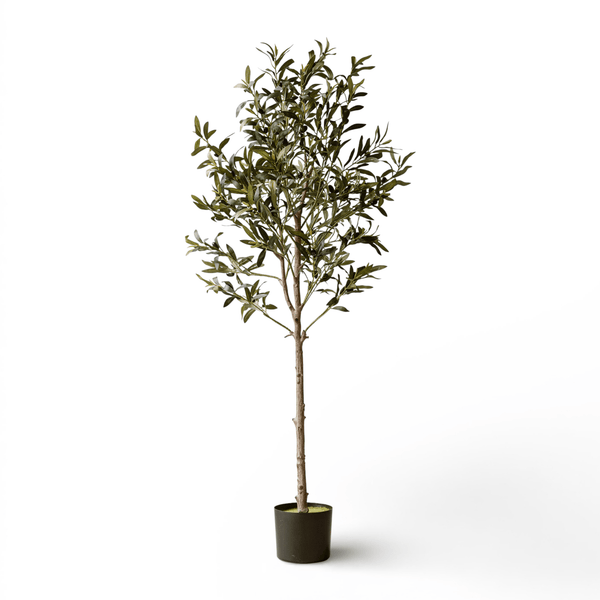 Indore Silva - Artificial Olive Tree - 155cm