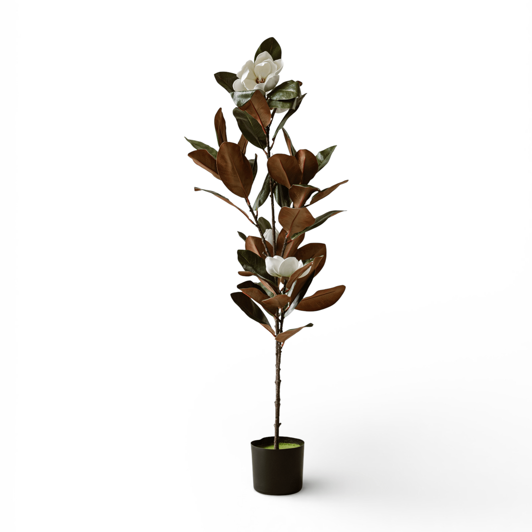 Indore Silva - Artificial Plant Magnolia - 120cm