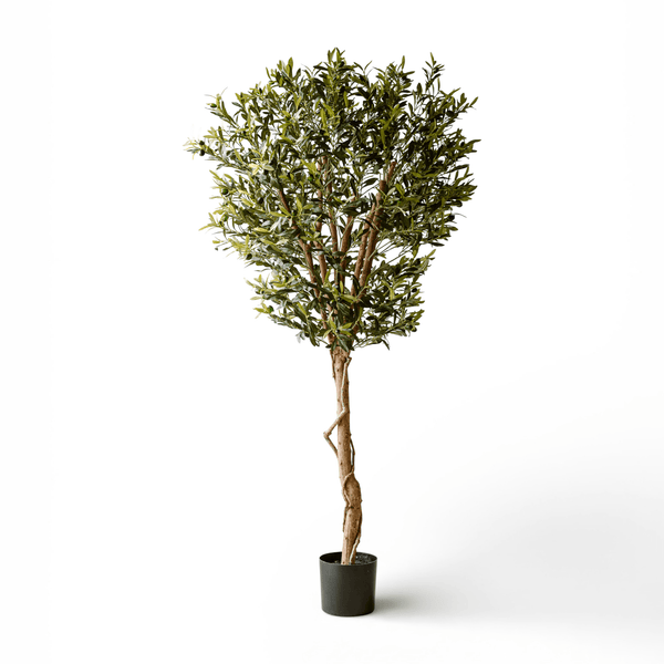 Kunst Olijfboom 190 cm – Mediterrane Olijfboom Kunstplant – Grote Kamerplant – Indore Home
