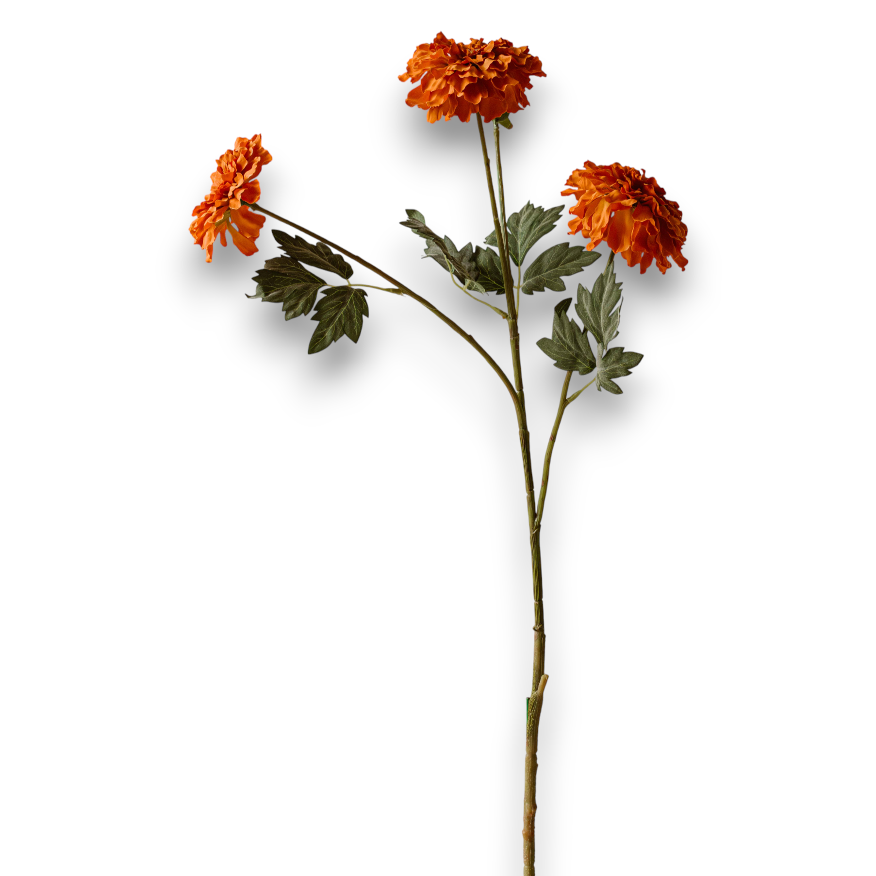 Indore Silva - Tagetes erecta - Orange - artificial branch - silk