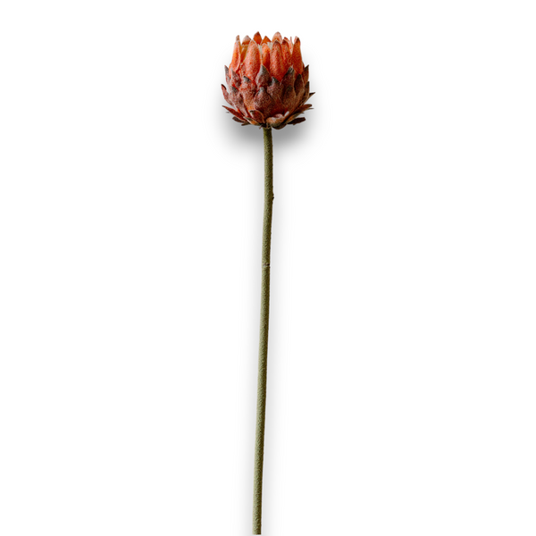 Indore Silva - Protea - Pink - artificial branch - silk