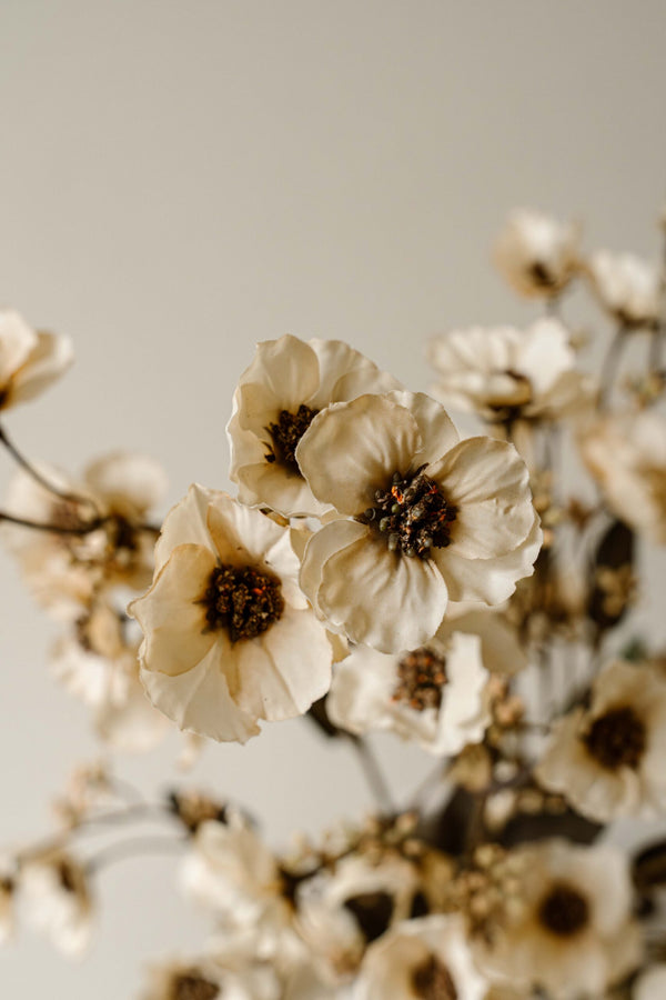 Indore Silva - Chaenomeles speciosa - White - artificial branch - silk