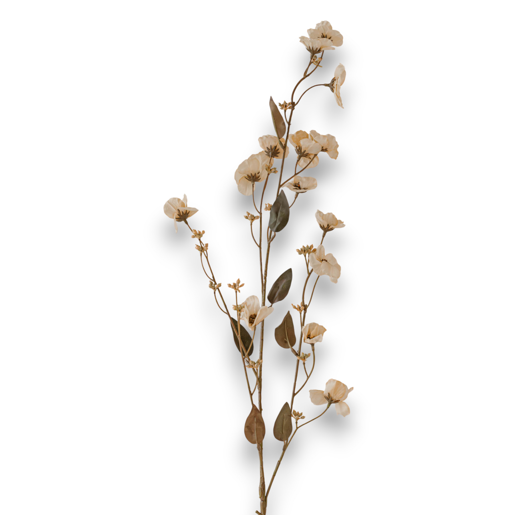 Indore Silva - Chaenomeles speciosa - White - artificial branch - silk