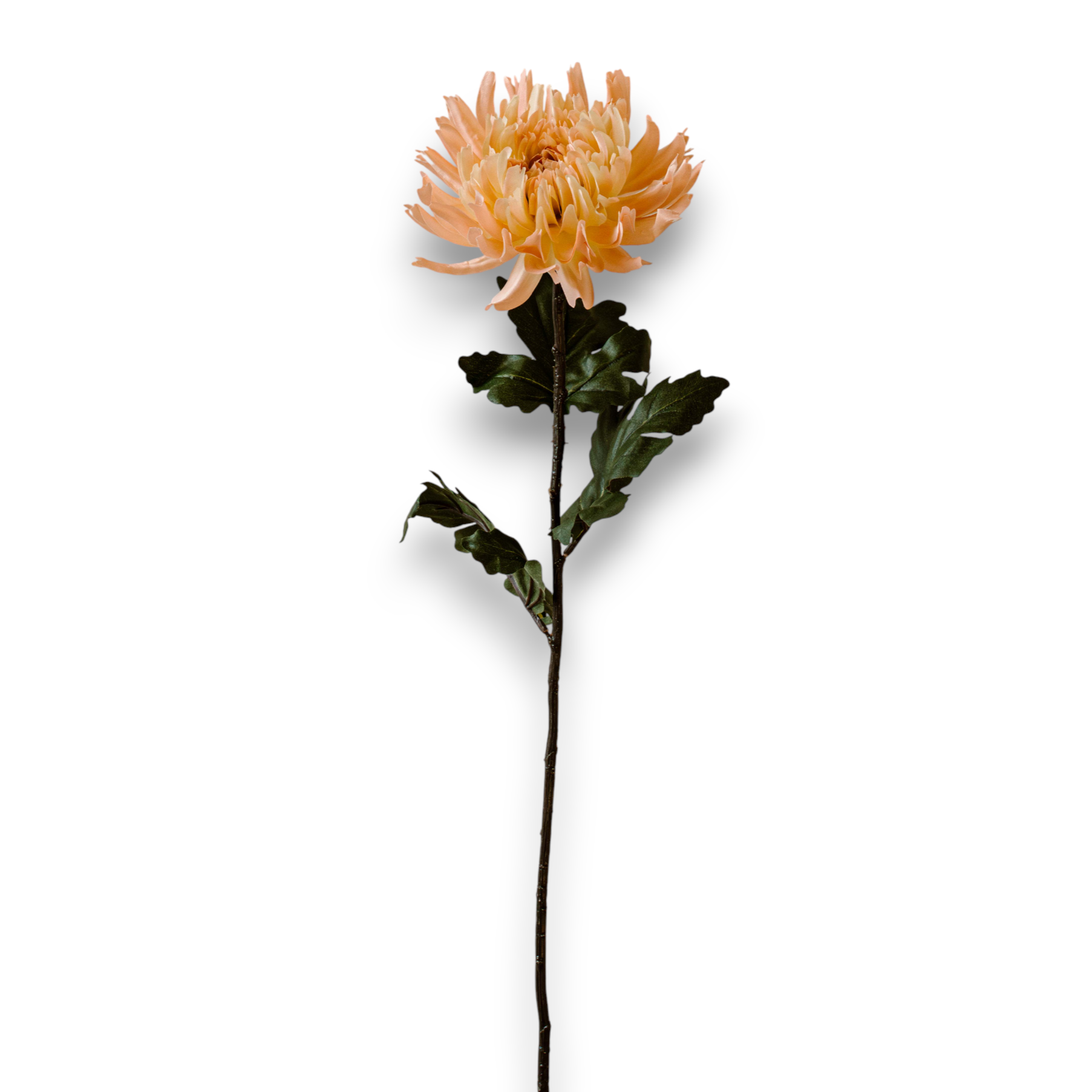 Indore Silva - Chrysanthemum - Light Pink - Artificial Branch - Silk