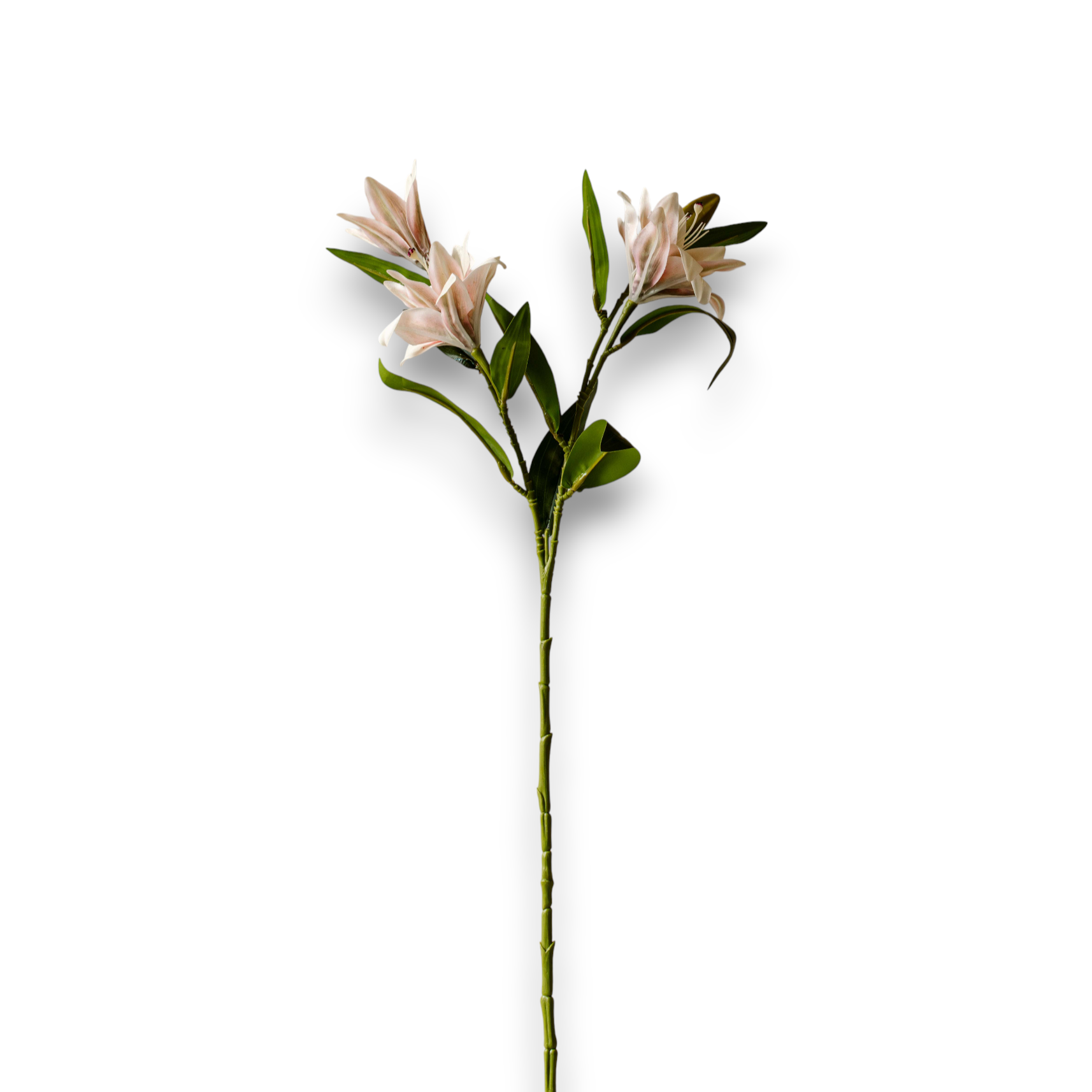 Indore Silva - Lely - Roze Wit - kunsttak - zijde