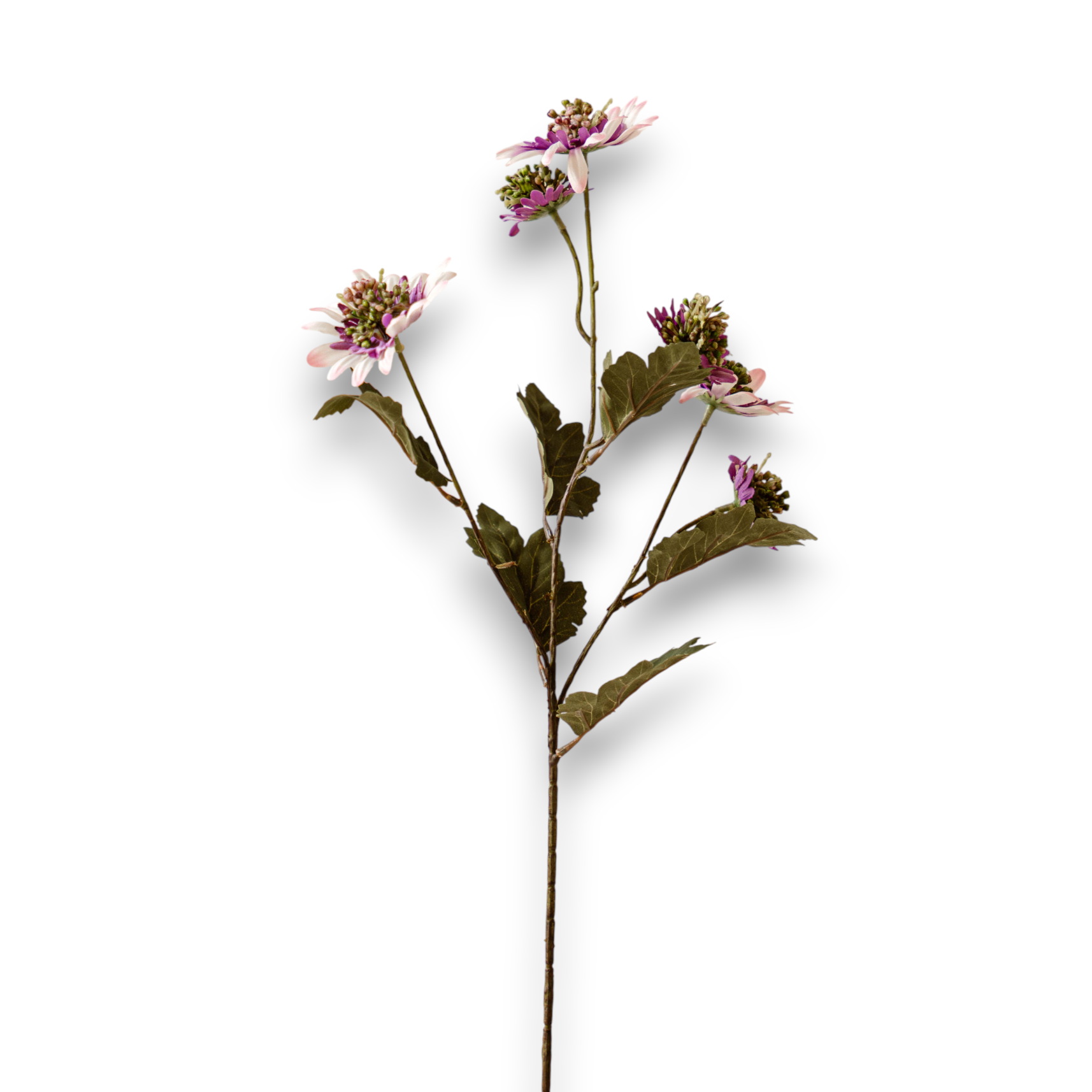 Indore Silva - Lychnis - Purple - artificial branch - silk
