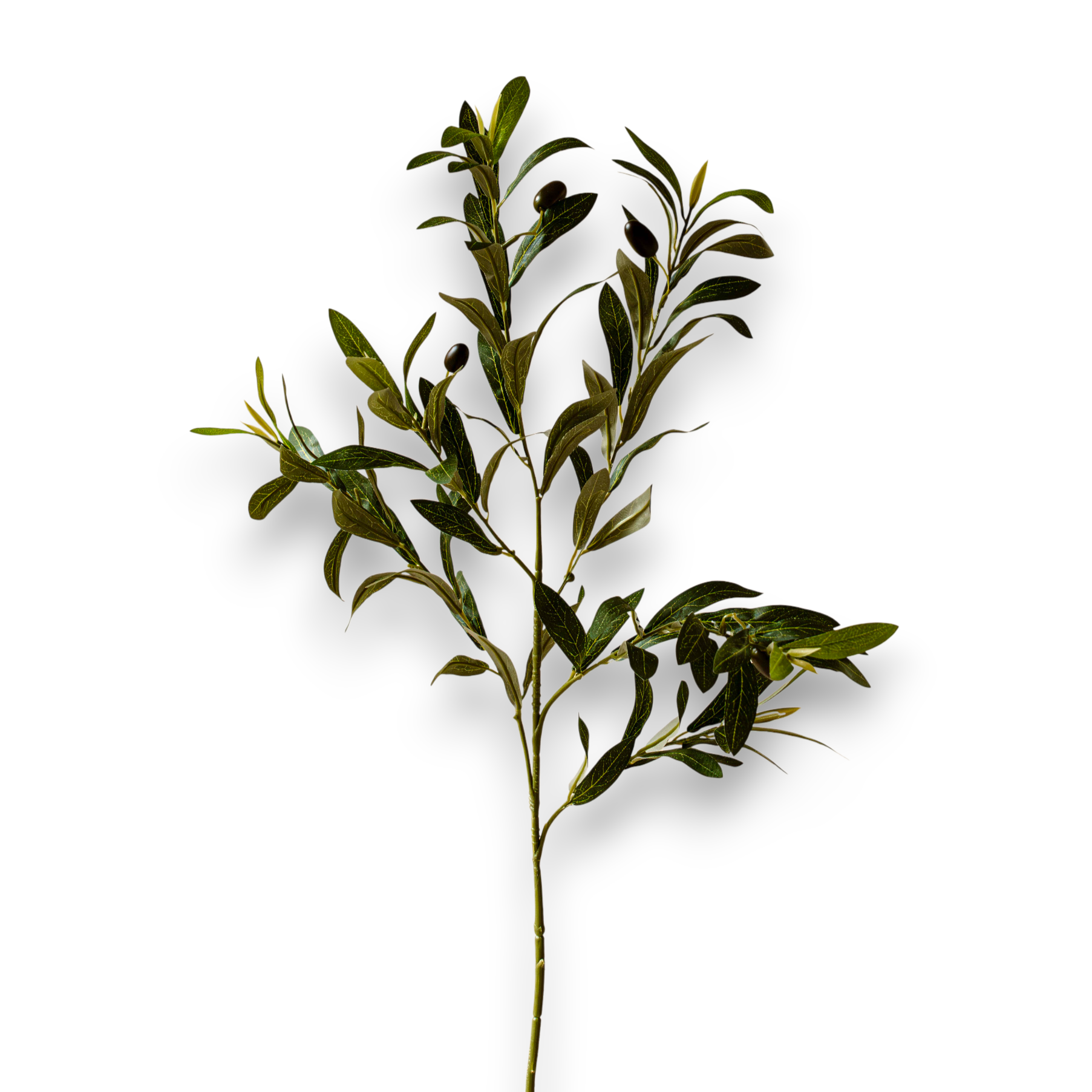 Indore Silva - Olive branch - artificial branch - silk