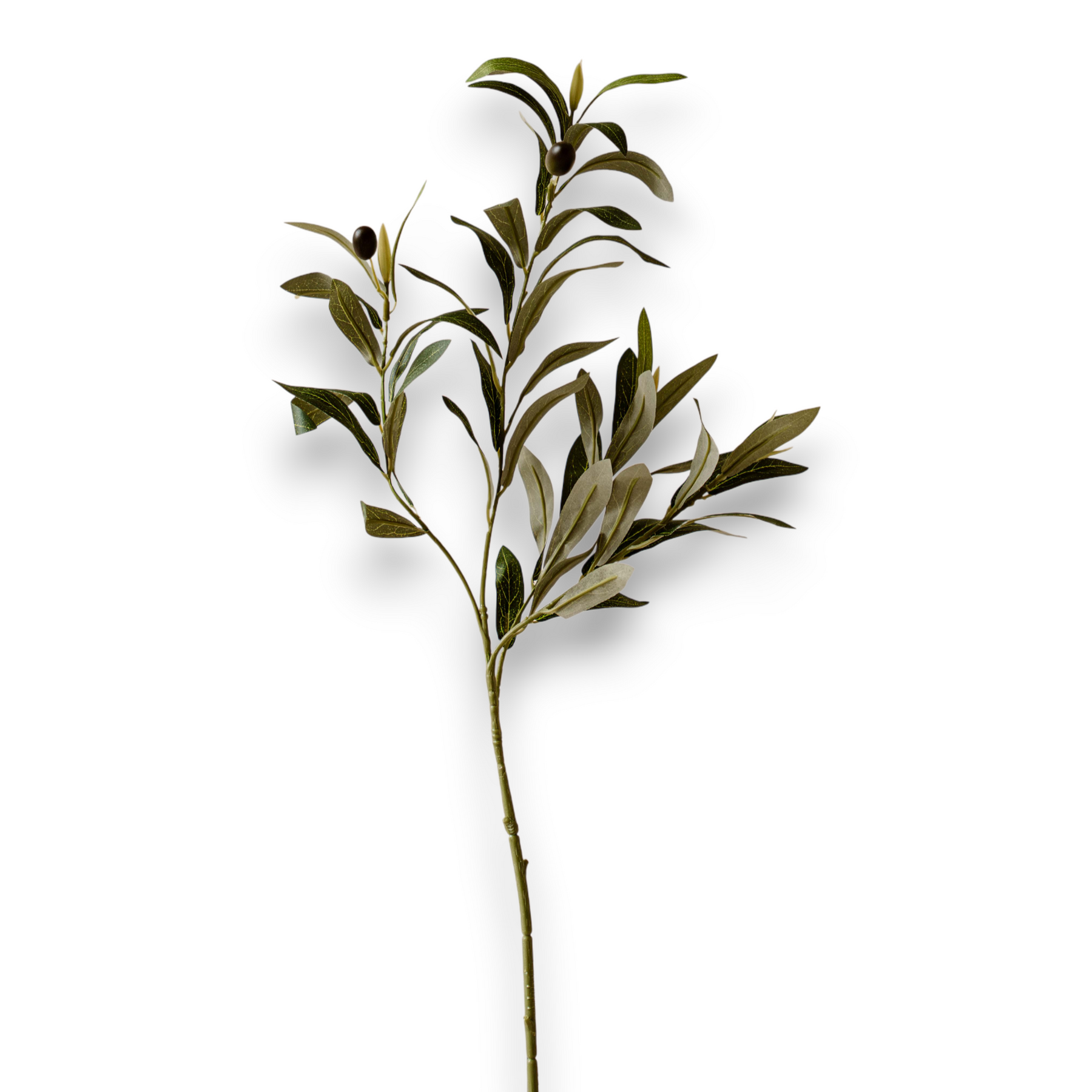 Indore Silva - Olive branch - artificial branch - silk