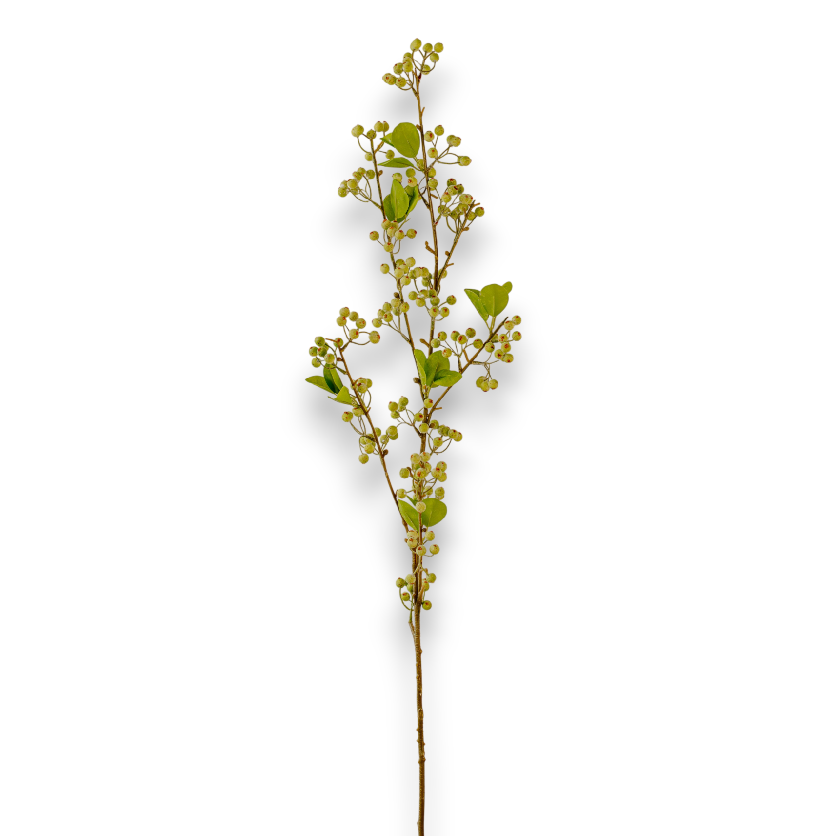 Indore Silva - Bessentak - Groen - kunsttak - zijde