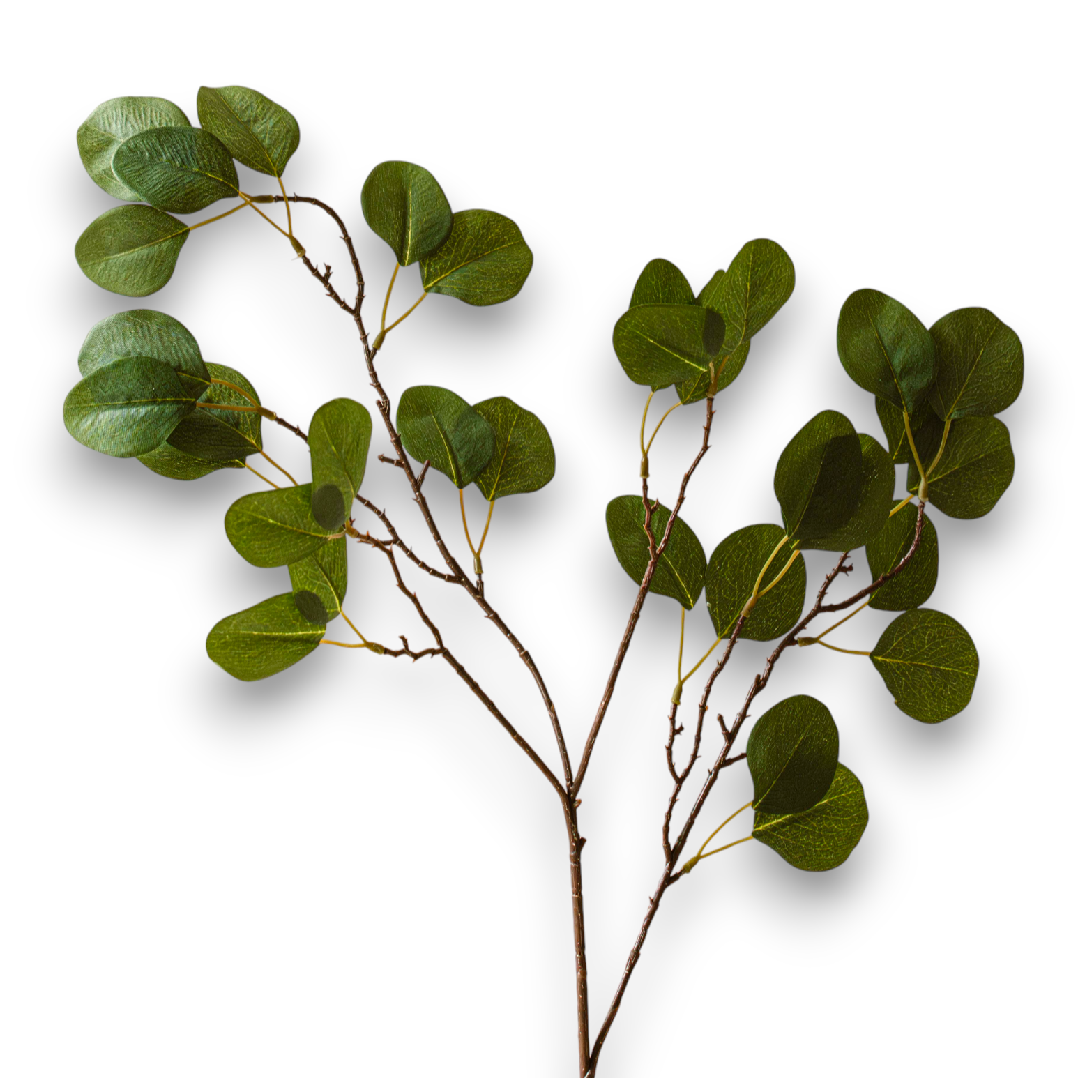 Indore Silva - Eucalyptus - artificial branch - silk