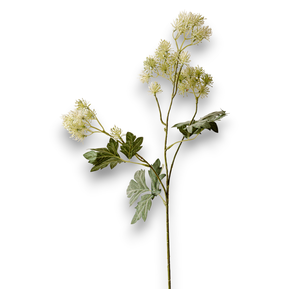 Indore Silva - Orlaya - Green - artificial branch - silk
