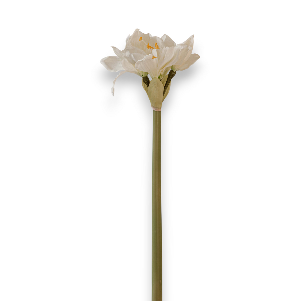 Indore Silva - amaryllis - Wit - kunsttak - zijde