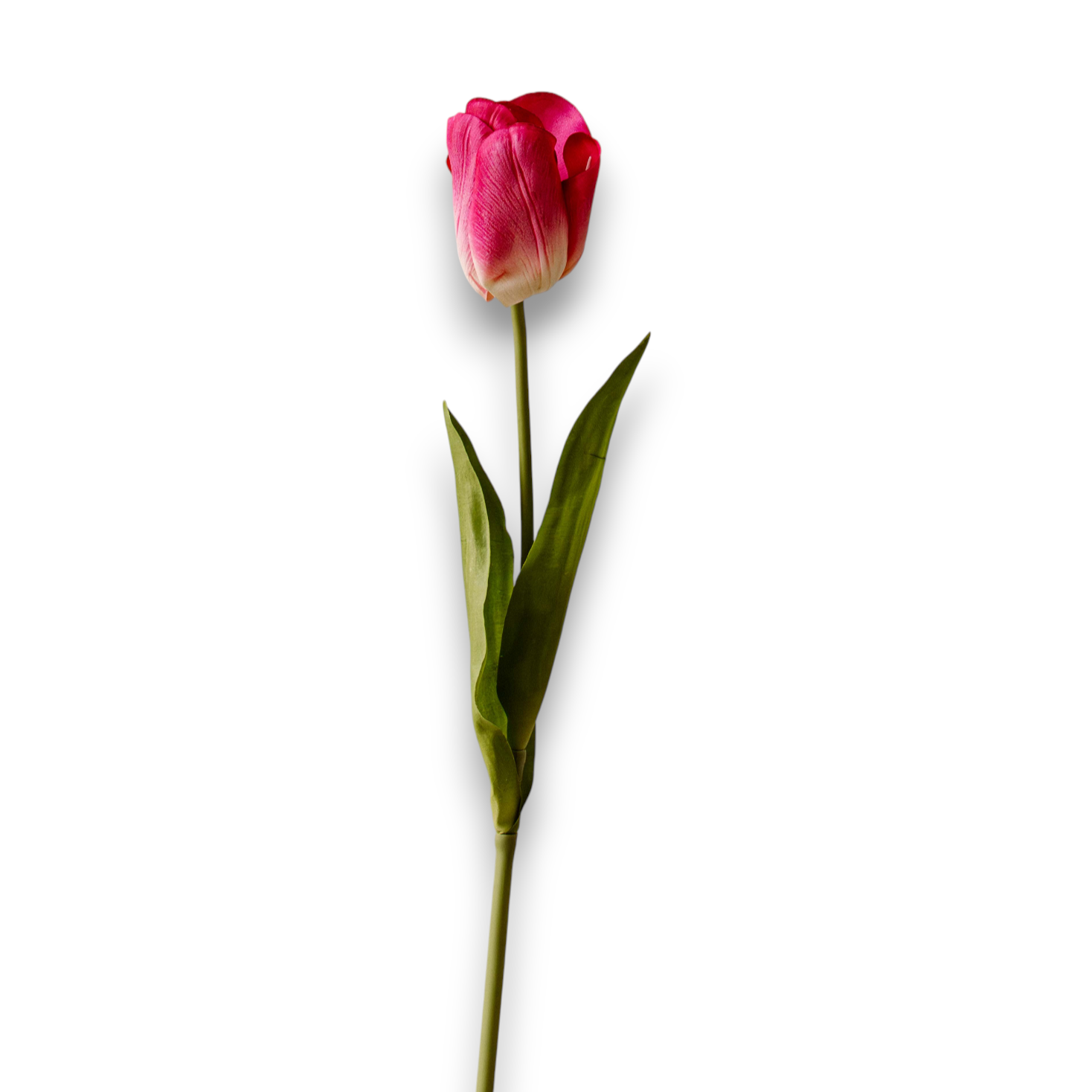 Indore Silva - Tulip - Pink - artificial branch - silk