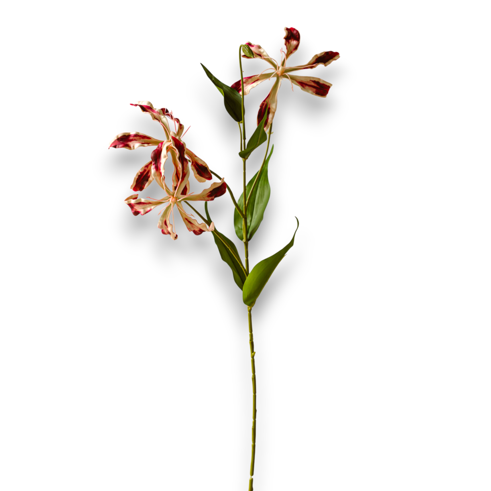 Indore Silva - Prachtlely - Pink - artificial branch - silk