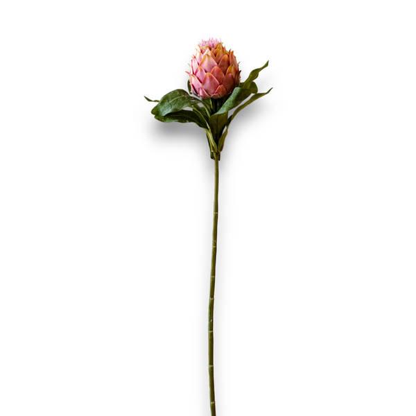 Indore Silva - Protea - Roze - kunsttak - zijde