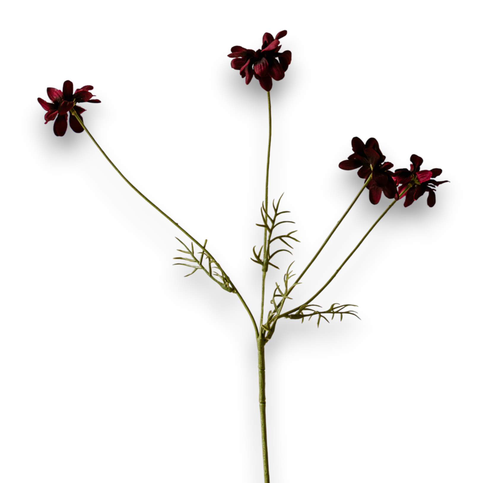 Indore Silva - Margriet - Paars - kunsttak - zijde