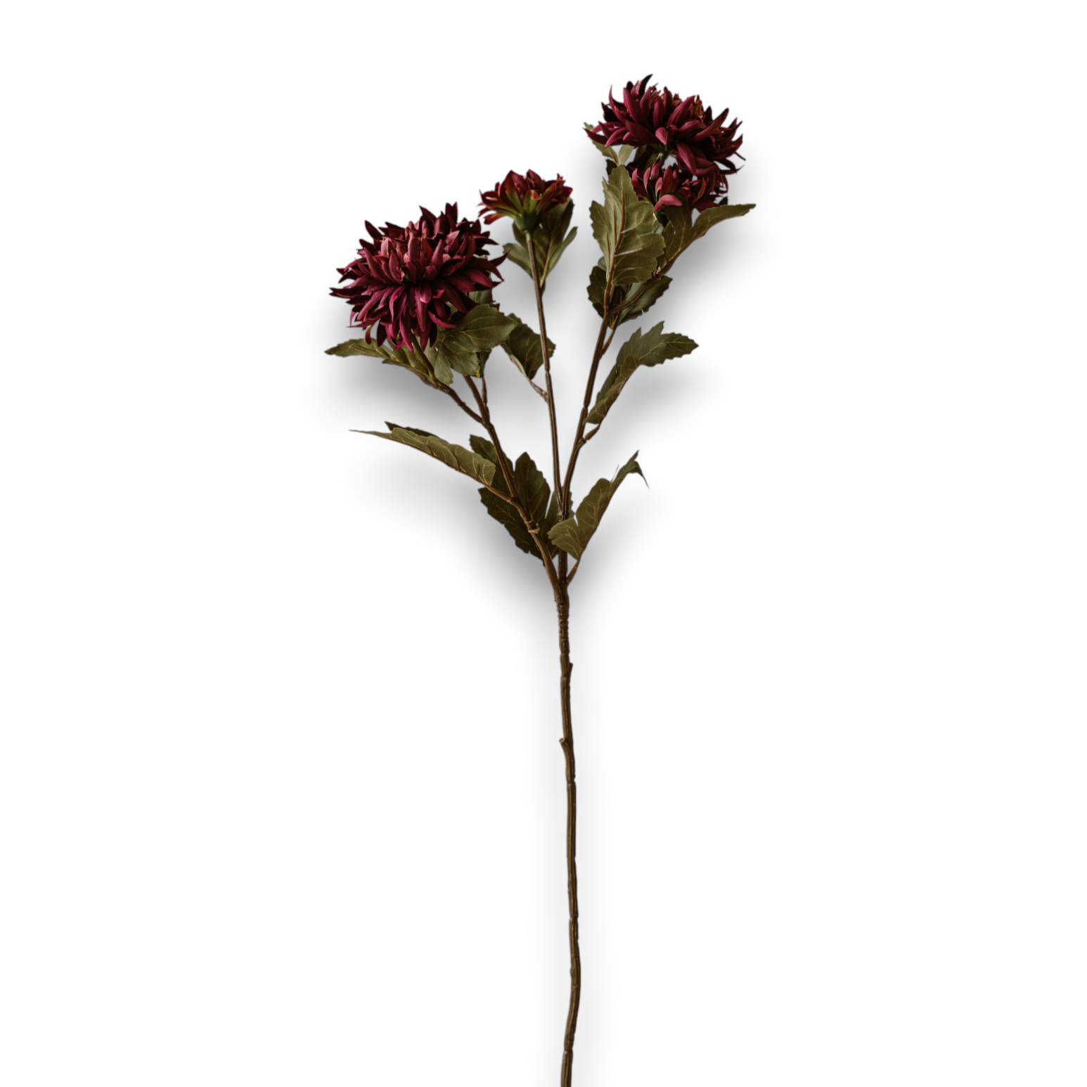 Indore Silva - Chrysant - Paars - kunsttak - zijde