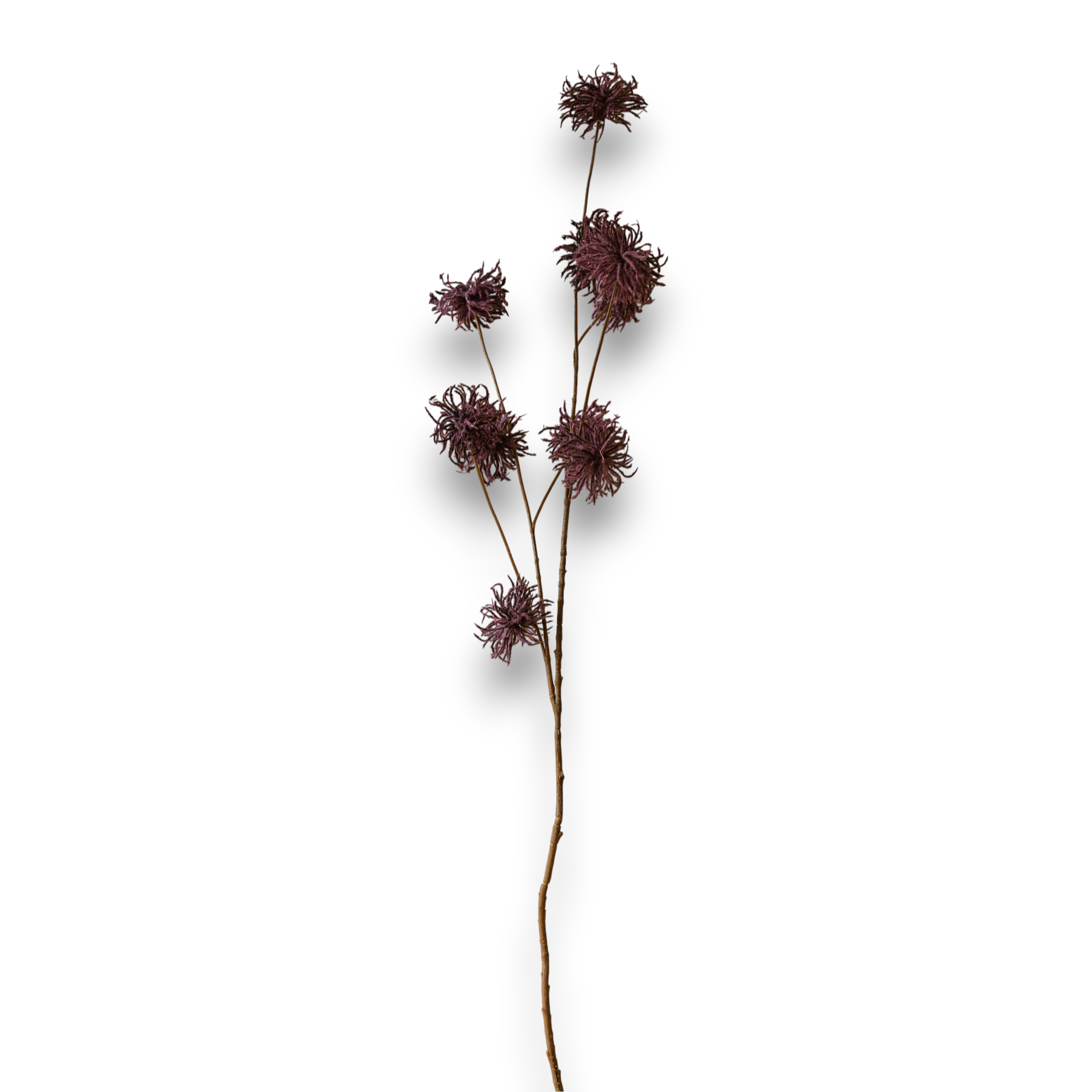 Indore Silva - Allium Bulbs - Purple - Artificial Branch - Silk