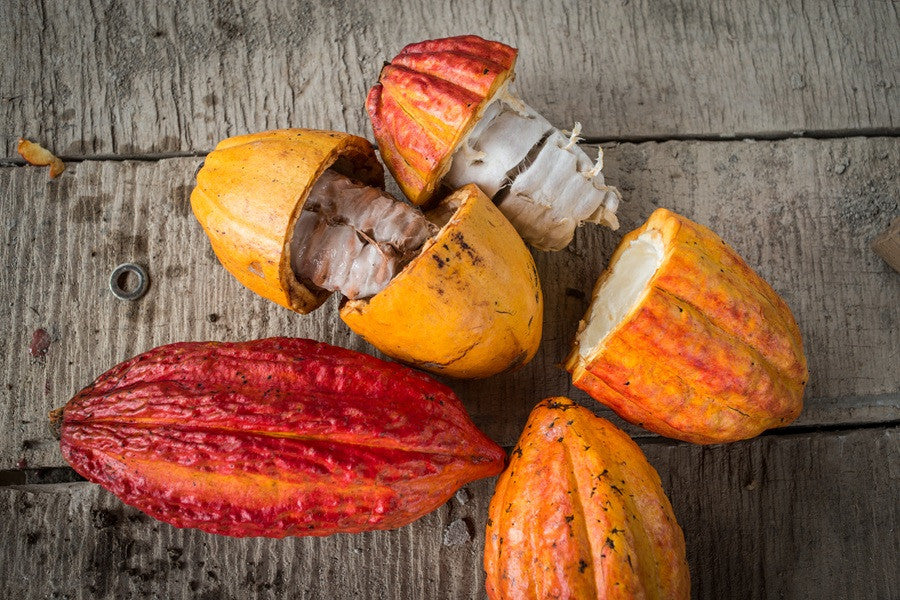 Cocoa Juice