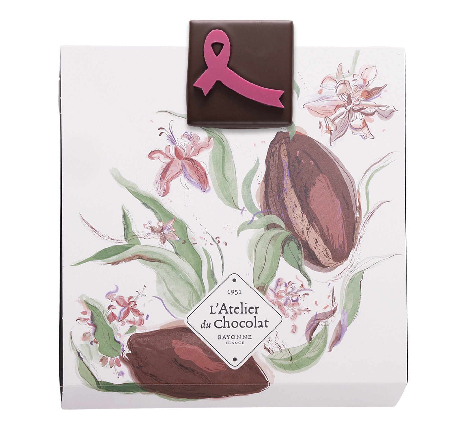 Ilbarritz Extra Dark Chocolate Box and its October Pink Bite
