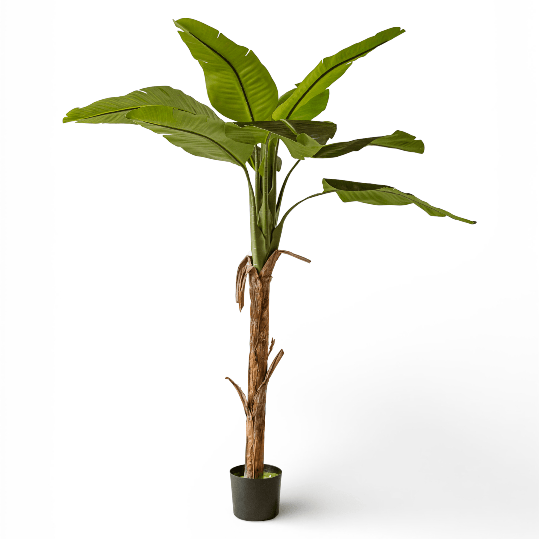 Indore Silva - Artificial Banana Plant - 170cm - Delivery time 1-2 weeks