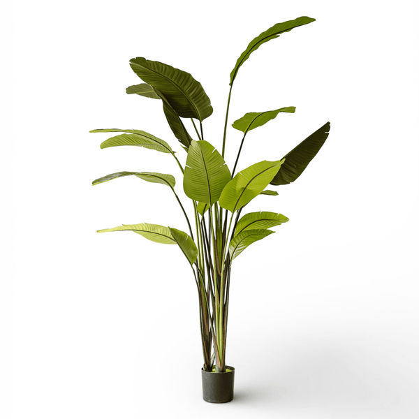 Indore Silva - Kunstplant Strelitzia - 250cm - Levertijd 2-3 weken