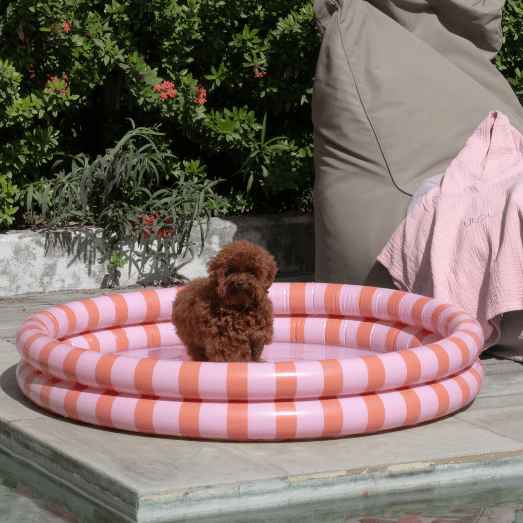 zwembad-100cm-citroen-flow-roze-essentials-4