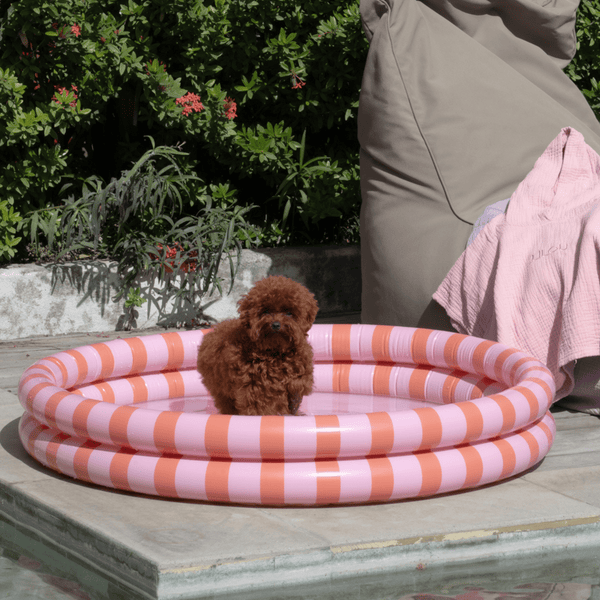 zwembad-100cm-citroen-flow-roze-essentials-4