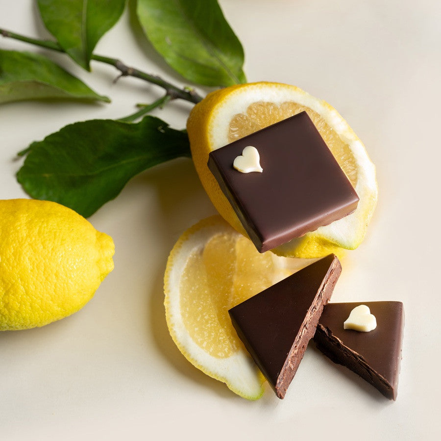 Limoncello Dark Chocolate Ganache Bite