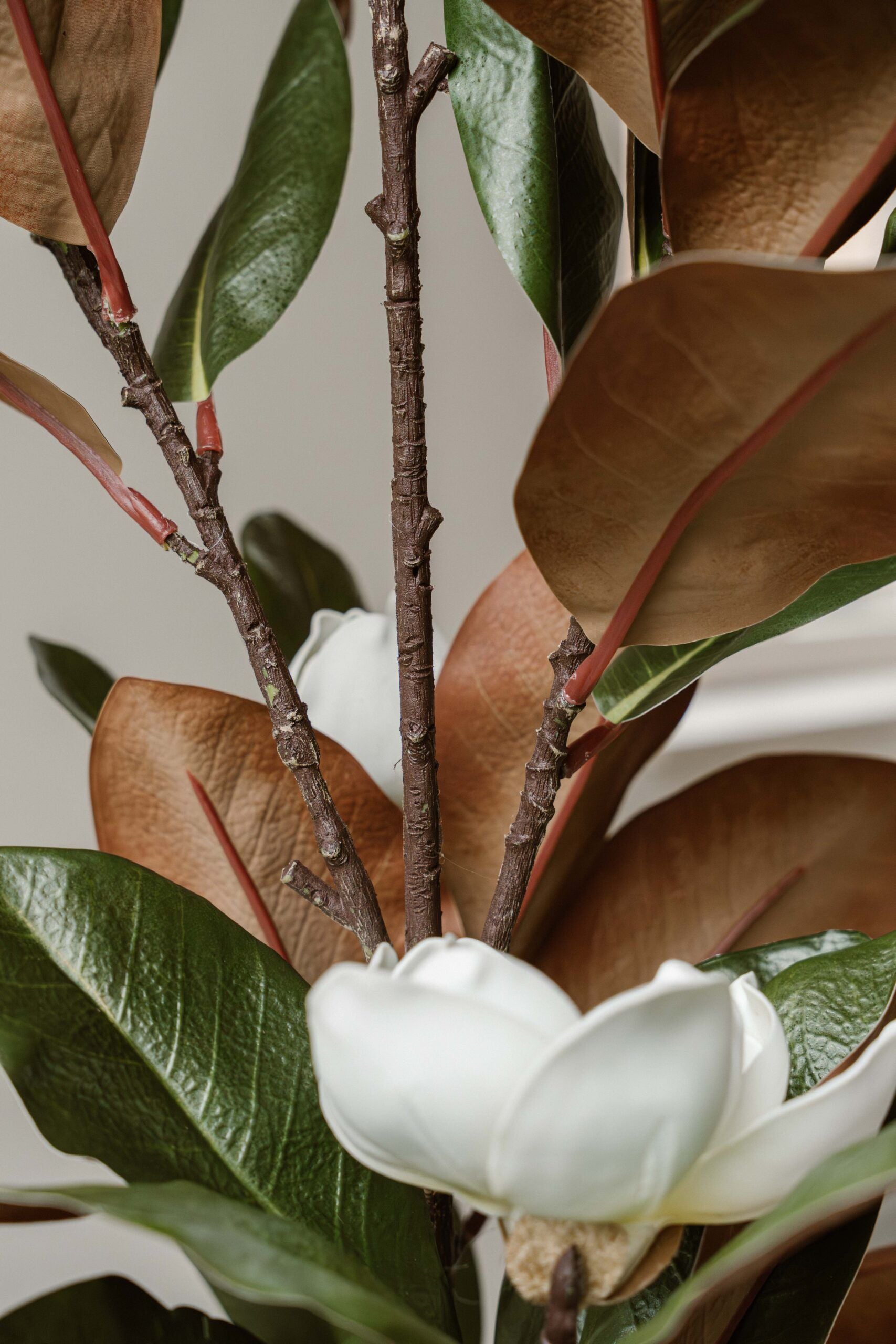 Indore Silva - Artificial Plant Magnolia - 120cm