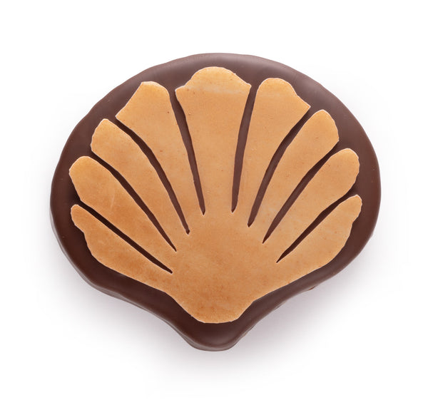 Concha de Praliné de Chocolate con Leche