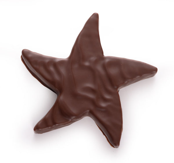 Milk Chocolate Gianduja Starfish